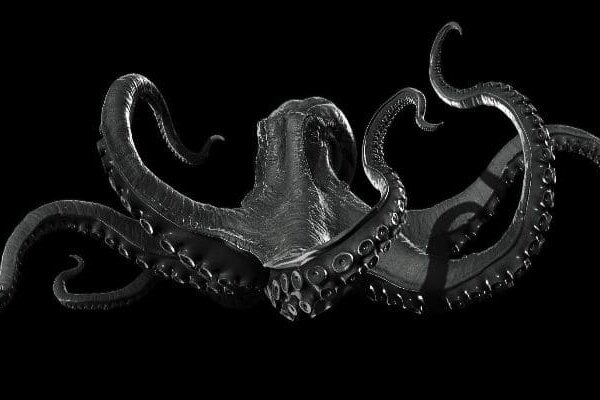 Kraken рабочий